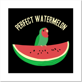 perfect watermelon lovebird Posters and Art